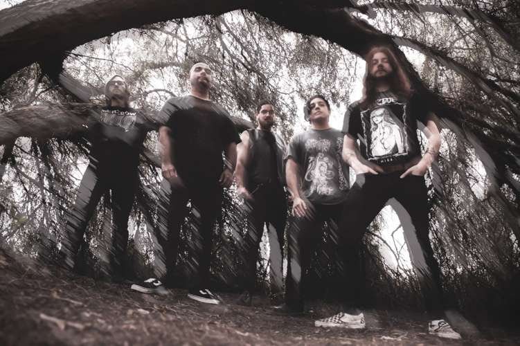 Civerous Band 2024